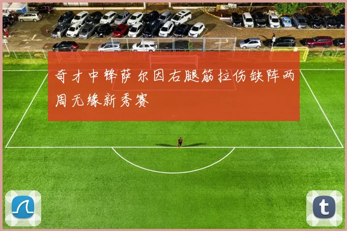 奇才中锋萨尔因右腿筋拉伤缺阵两周无缘新秀赛