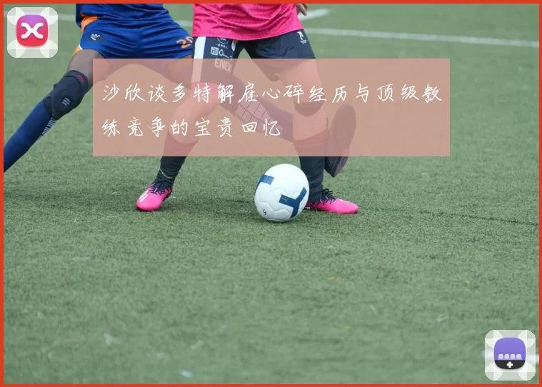 沙欣谈多特解雇心碎经历与顶级教练竞争的宝贵回忆